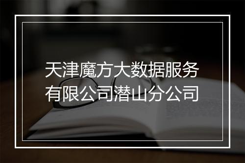 天津魔方大数据服务有限公司潜山分公司