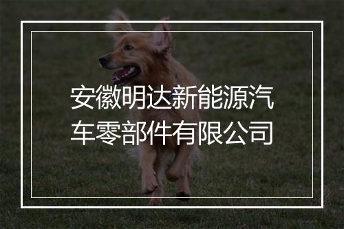 安徽明达新能源汽车零部件有限公司