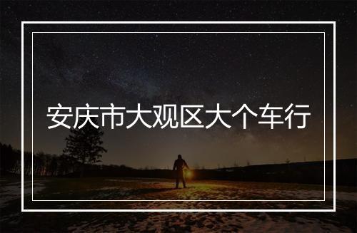 安庆市大观区大个车行