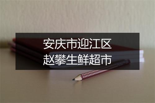 安庆市迎江区赵攀生鲜超市