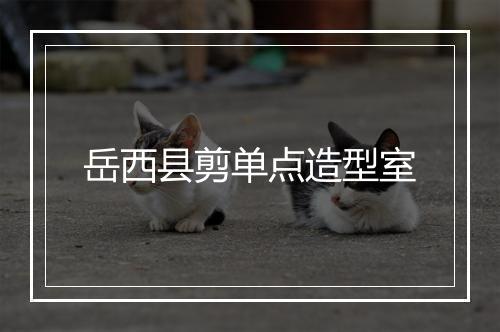 岳西县剪单点造型室