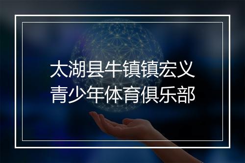 太湖县牛镇镇宏义青少年体育俱乐部