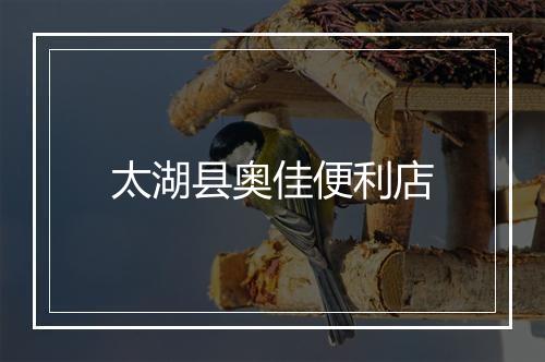 太湖县奥佳便利店