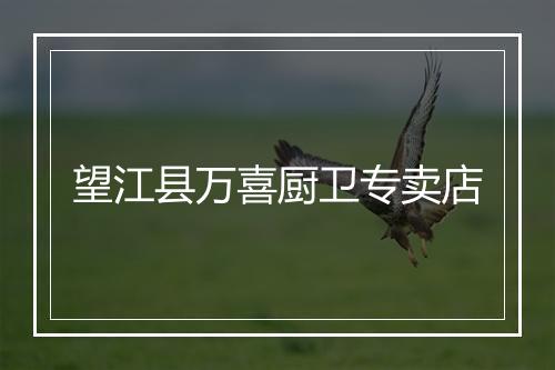 望江县万喜厨卫专卖店