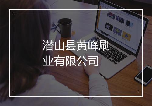 潜山县黄峰刷业有限公司