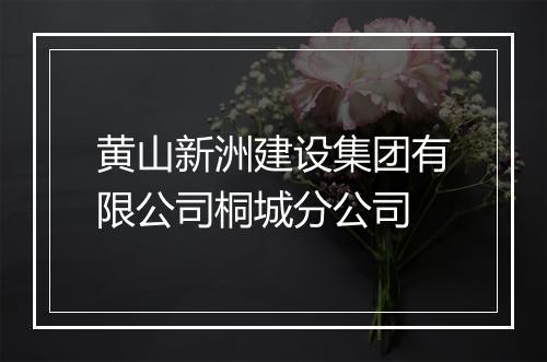 黄山新洲建设集团有限公司桐城分公司