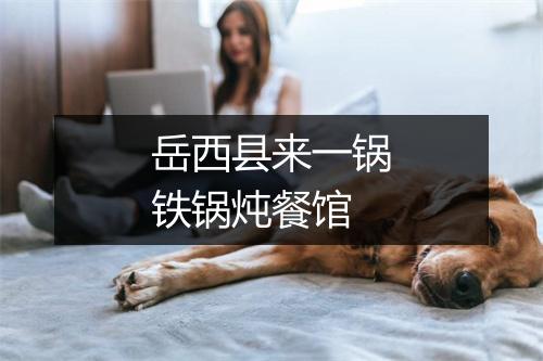 岳西县来一锅铁锅炖餐馆