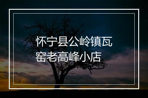 怀宁县公岭镇瓦窑老高峰小店