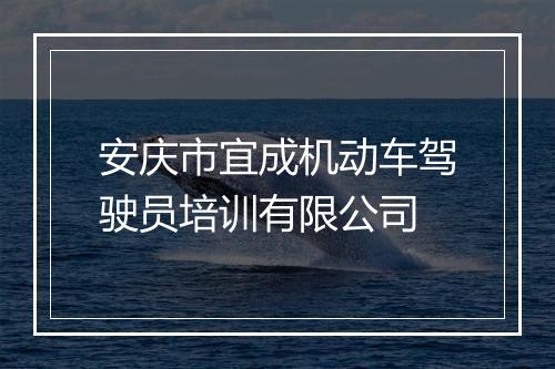 安庆市宜成机动车驾驶员培训有限公司