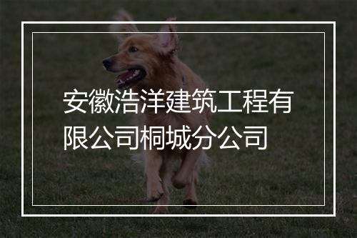 安徽浩洋建筑工程有限公司桐城分公司