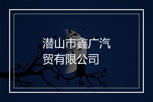 潜山市鑫广汽贸有限公司