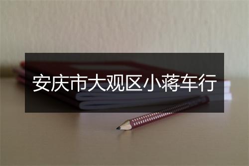 安庆市大观区小蒋车行
