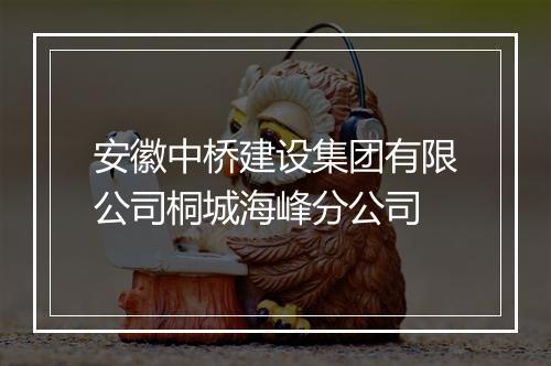 安徽中桥建设集团有限公司桐城海峰分公司