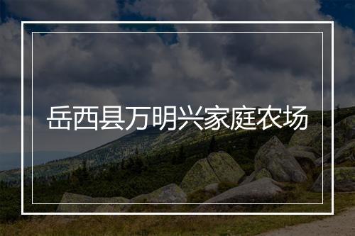 岳西县万明兴家庭农场