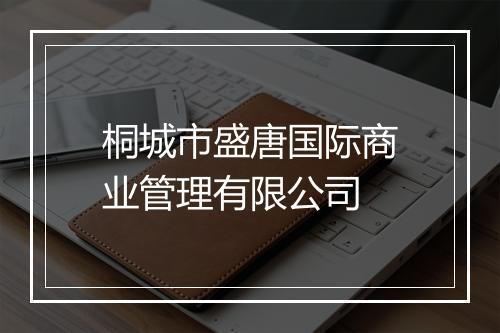 桐城市盛唐国际商业管理有限公司