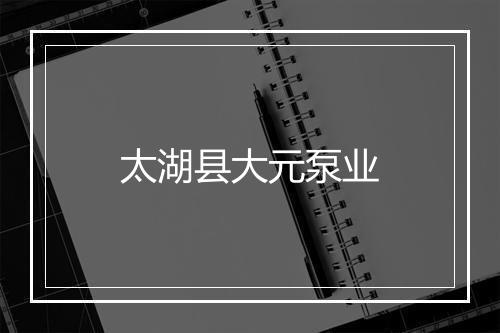太湖县大元泵业
