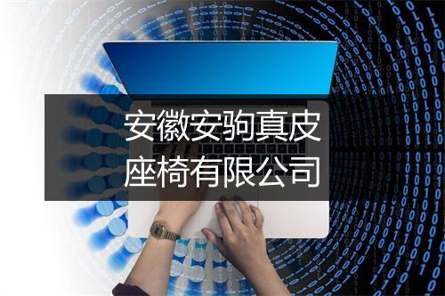 安徽安驹真皮座椅有限公司