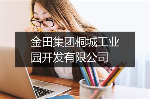金田集团桐城工业园开发有限公司
