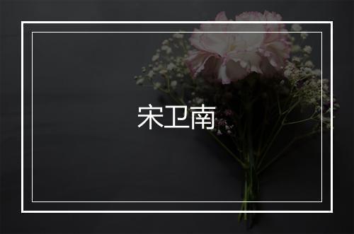 宋卫南