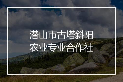 潜山市古塔斜阳农业专业合作社