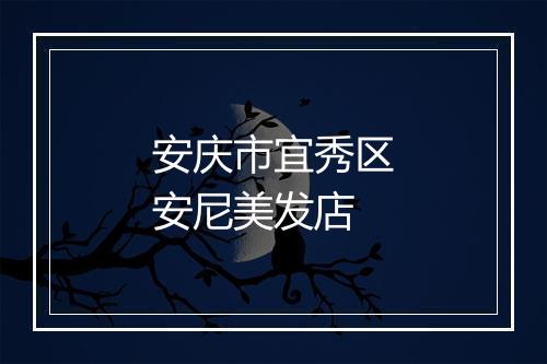 安庆市宜秀区安尼美发店