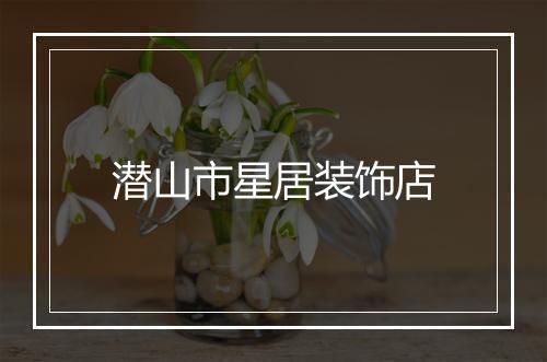 潜山市星居装饰店