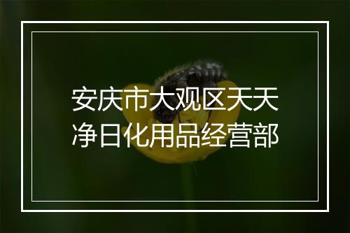 安庆市大观区天天净日化用品经营部