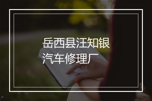 岳西县汪知银汽车修理厂