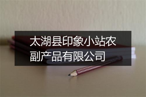 太湖县印象小站农副产品有限公司