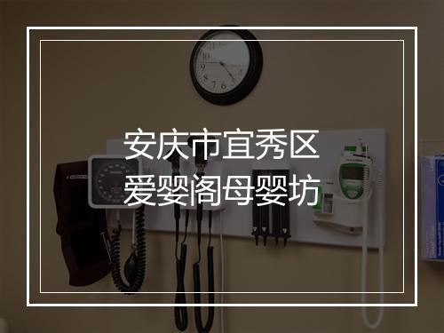 安庆市宜秀区爱婴阁母婴坊