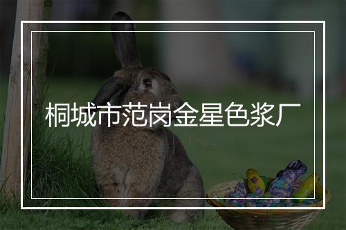 桐城市范岗金星色浆厂