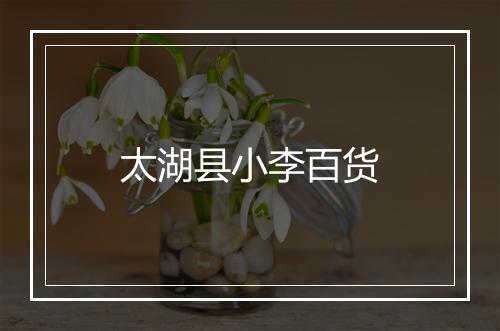 太湖县小李百货