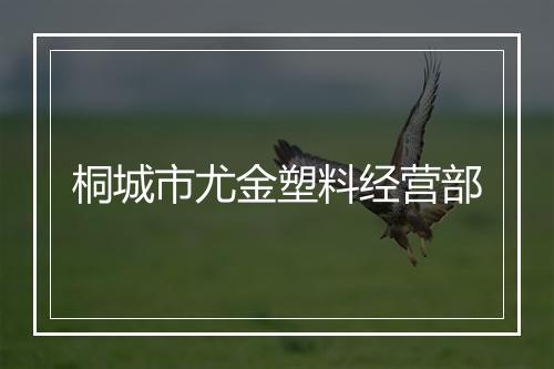 桐城市尤金塑料经营部