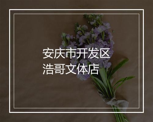 安庆市开发区浩哥文体店