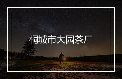 桐城市大园茶厂
