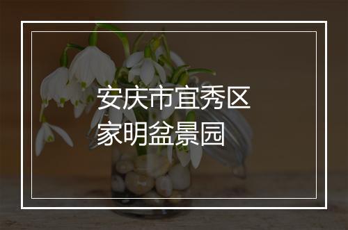 安庆市宜秀区家明盆景园