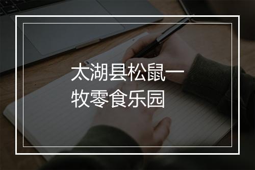 太湖县松鼠一牧零食乐园