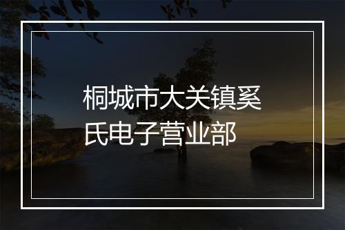 桐城市大关镇奚氏电子营业部