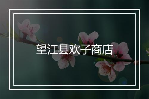 望江县欢子商店