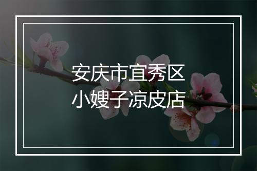 安庆市宜秀区小嫂子凉皮店