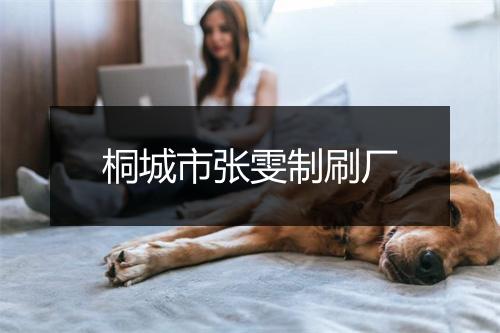 桐城市张雯制刷厂
