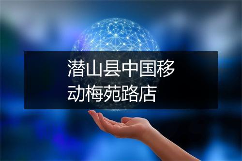潜山县中国移动梅苑路店