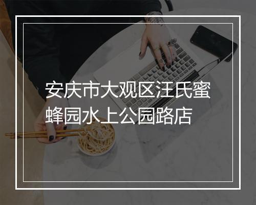 安庆市大观区汪氏蜜蜂园水上公园路店