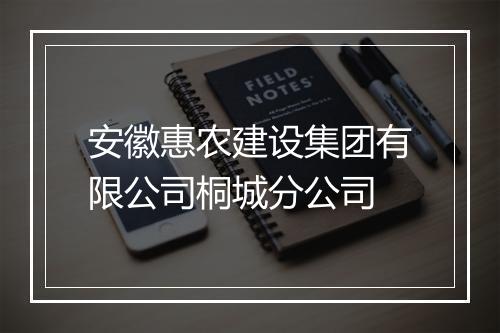 安徽惠农建设集团有限公司桐城分公司