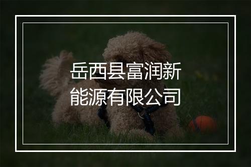 岳西县富润新能源有限公司