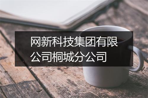 网新科技集团有限公司桐城分公司