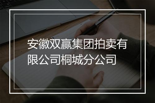 安徽双赢集团拍卖有限公司桐城分公司