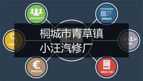 桐城市青草镇小汪汽修厂