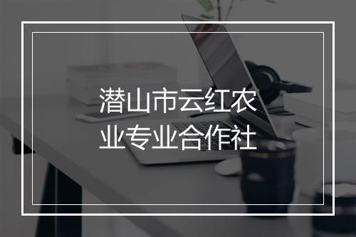 潜山市云红农业专业合作社