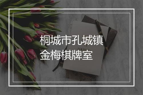 桐城市孔城镇金梅棋牌室